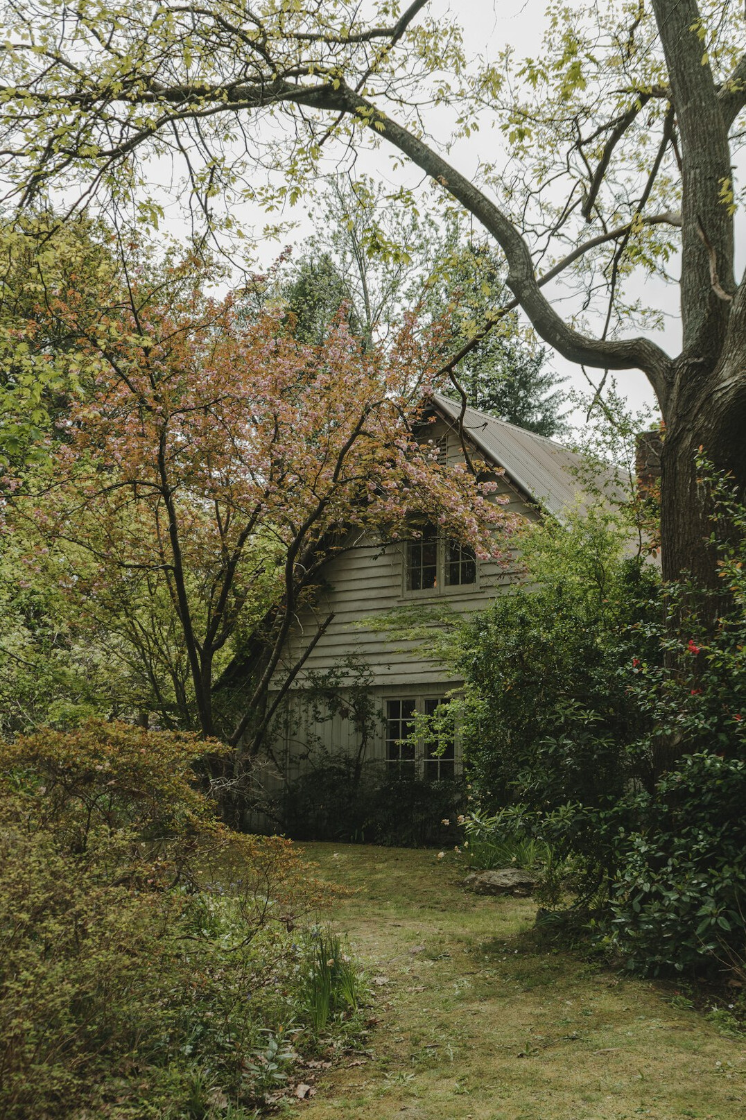 Abandoned old house with overgrown garden in the Uruguayan countryside