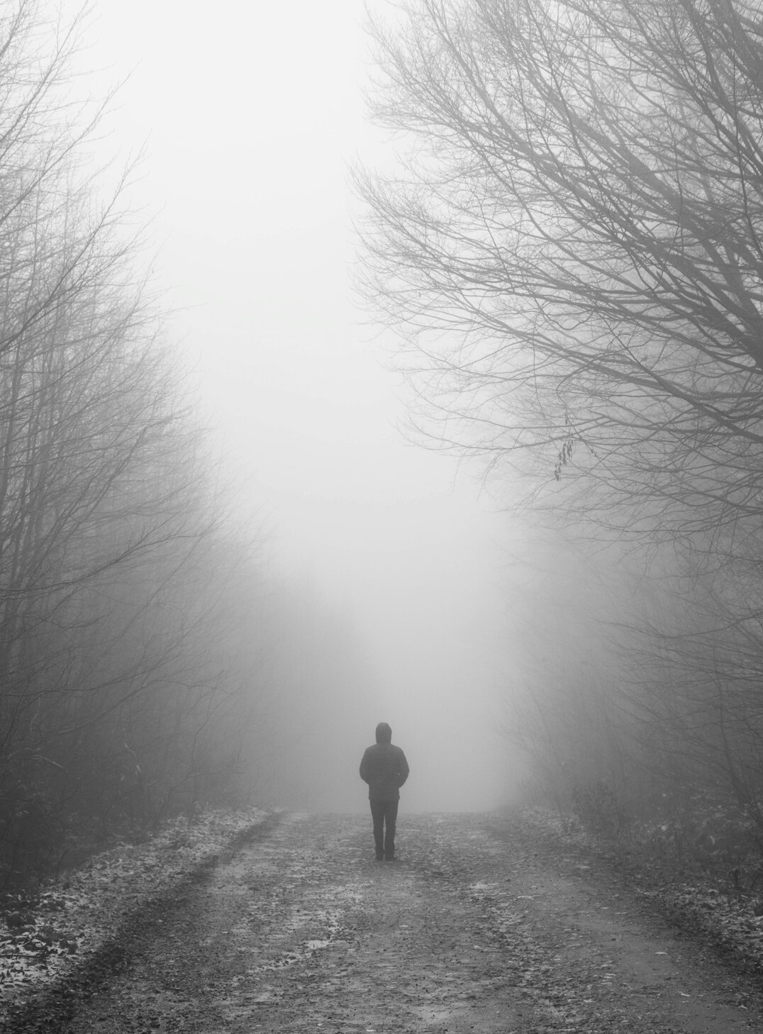shadowy figure vanishing in fog