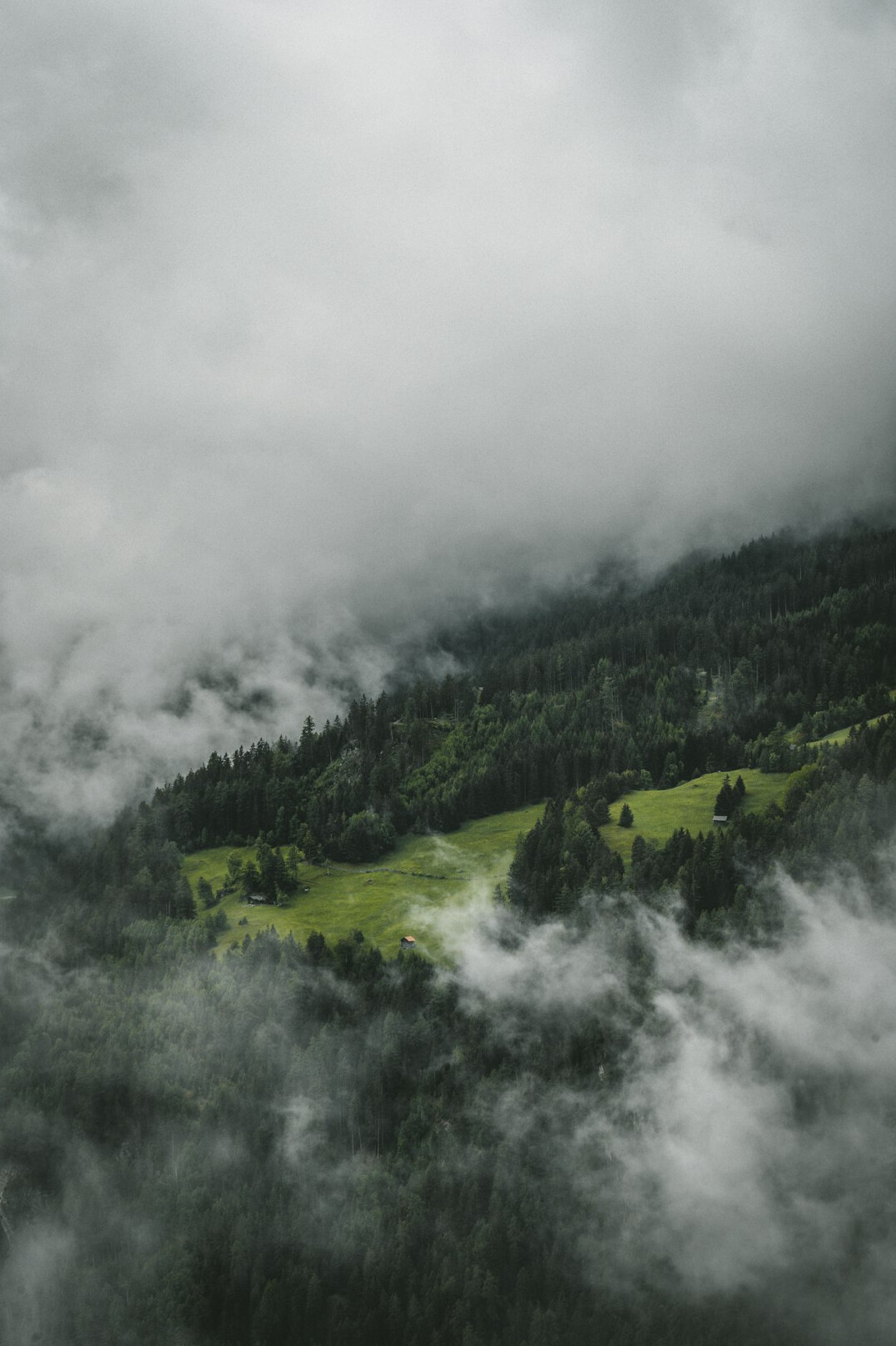 foggy forest landscape